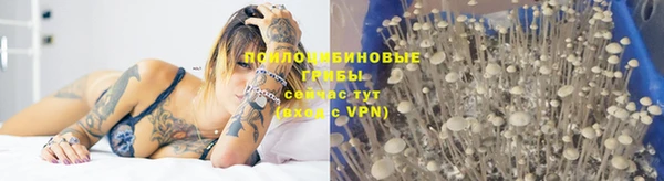 эйфоретик Алексин