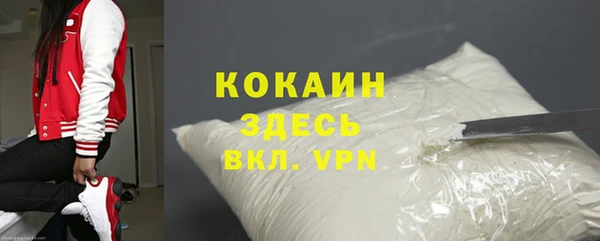 прущий лед Алзамай
