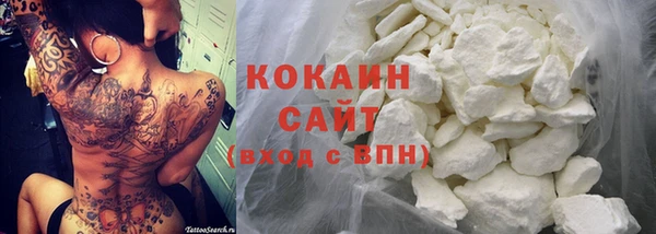 прущий лед Алзамай