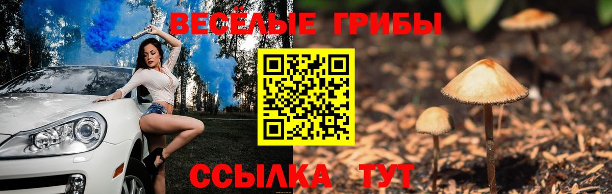 где купить наркотик  Вход с VPN  Старый Оскол  Псилоцибиновые грибы Magic Shrooms 