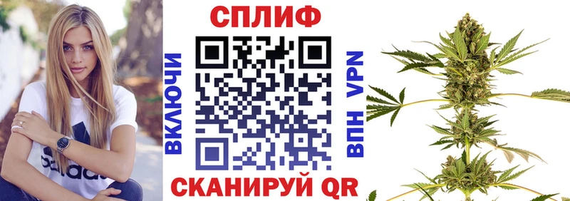 блэк спрут маркетплейс  купить  сайты  Старый Оскол  это телеграм  Бошки марихуана индика 